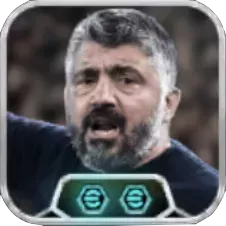 ジェンナーロガットゥーゾ(リンクアップ)の画像