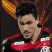 HPペドロ(12/04)画像