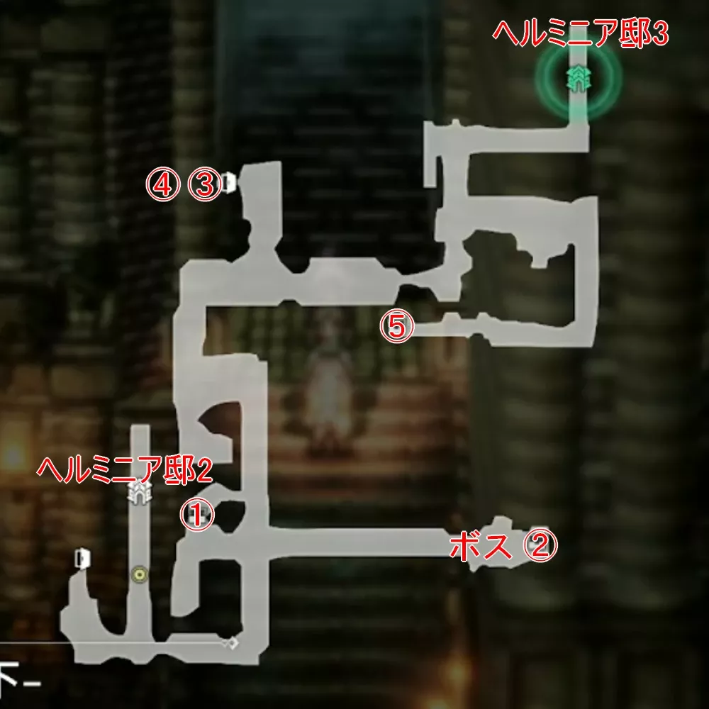 ヘルミニア邸-地下-