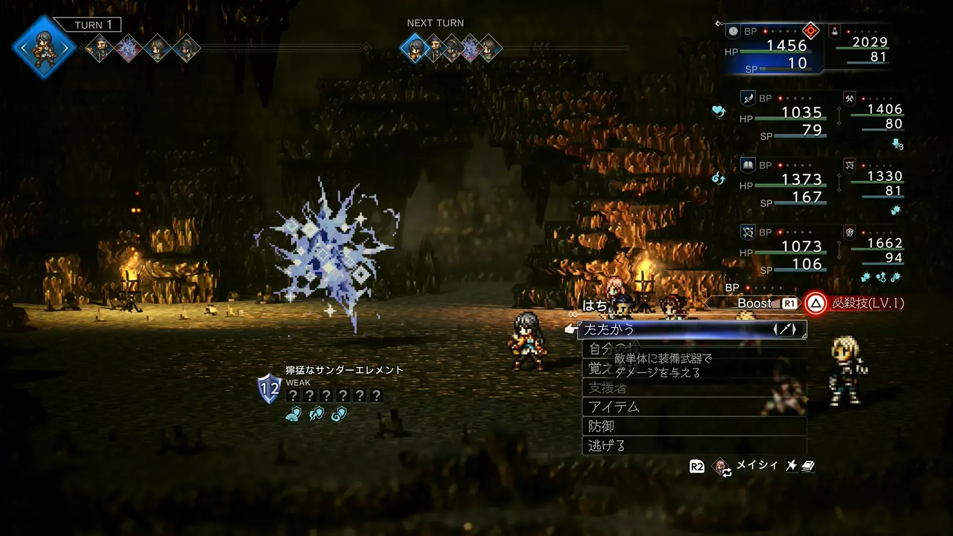 獰猛なサンダーエレメント