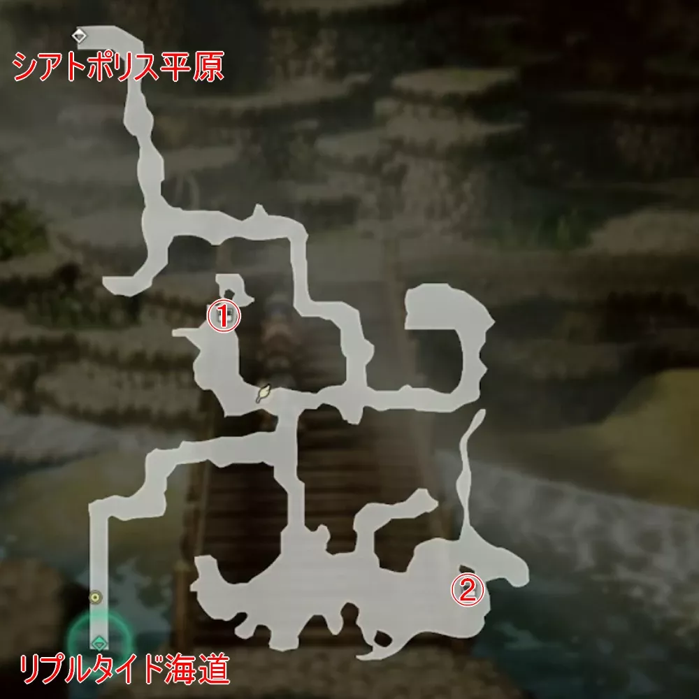 北リプルタイド海道