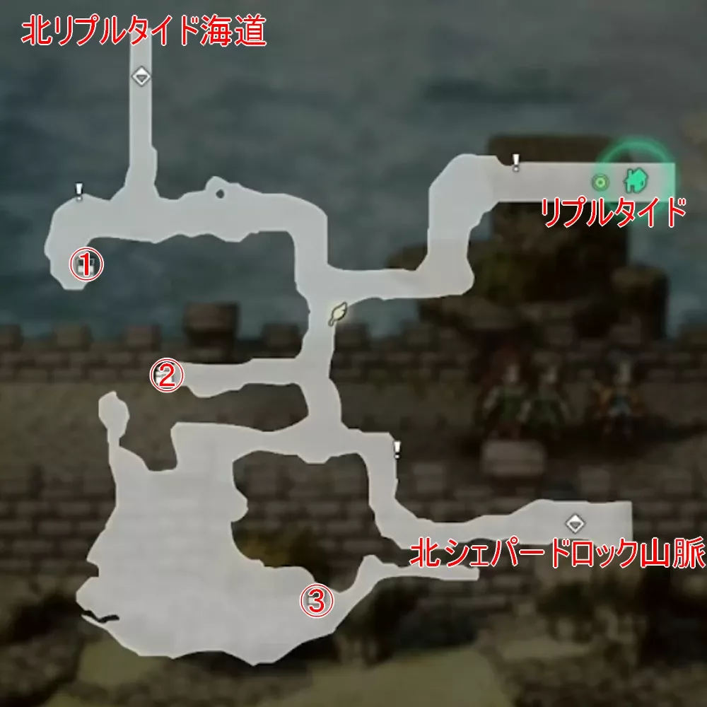 リプルタイド海道