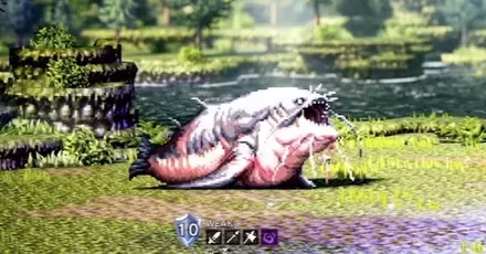 川のヌシ釣り画像