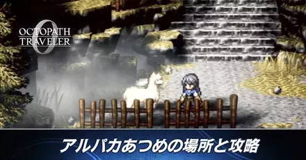 アルパカ集め