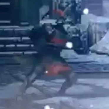 黒緋（槍）画像