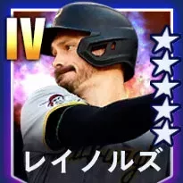 レイノルズ画像