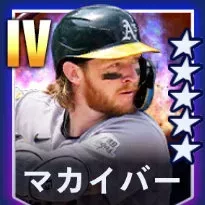 マカイバー画像