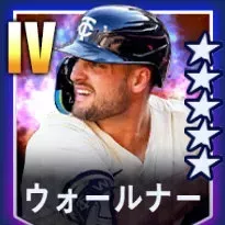 ウォールナー画像