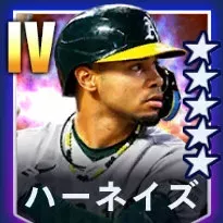 ハーネイズ画像