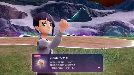 メガシンカストーン