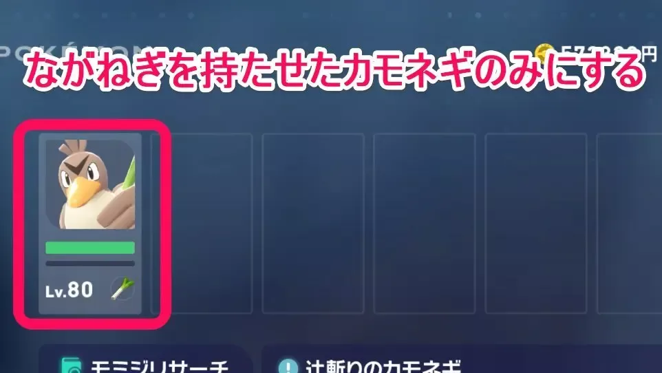 133カモネギのみにする