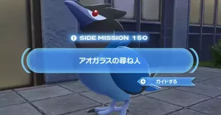 アオガラスの尋ね人画像