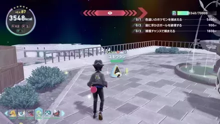 色違い厳選のやり方