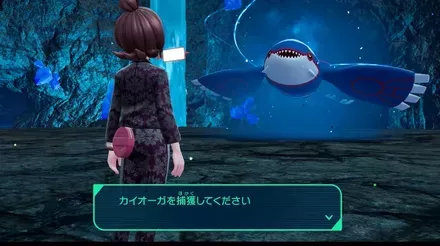 カイオーガ捕獲前