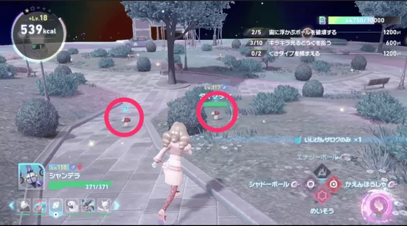 タマゲタケ捕まえる