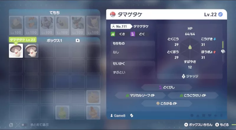 タマゲタケを渡す