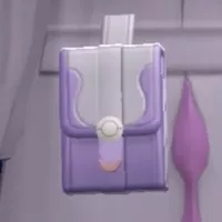 カラスバコーデレザーポーチ(色違い)