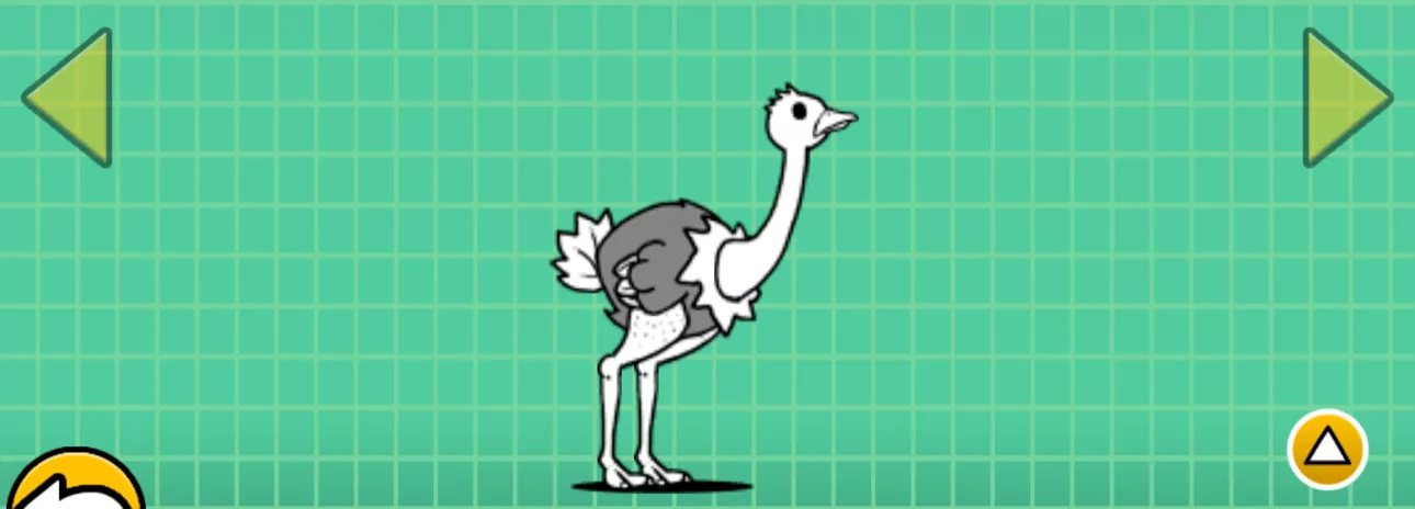 ダチョウ同好会