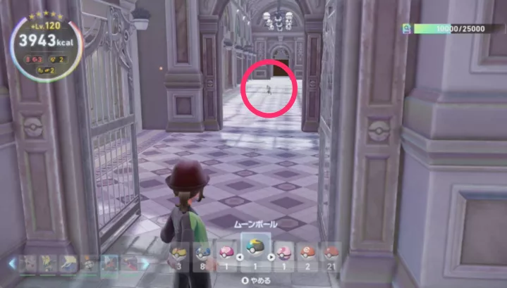 建物内の通路に出現