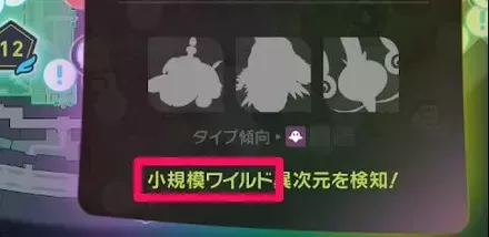 小規模ワイルド