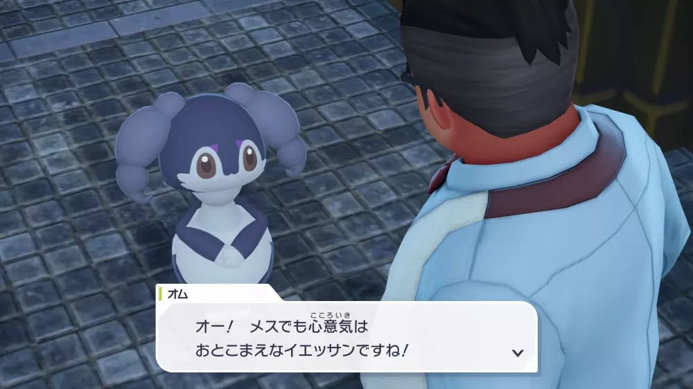 イエッサンを渡すとクリア