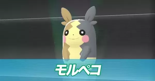 もるぺこ モルペコ | ポケモンカードゲーム公式ホームページ