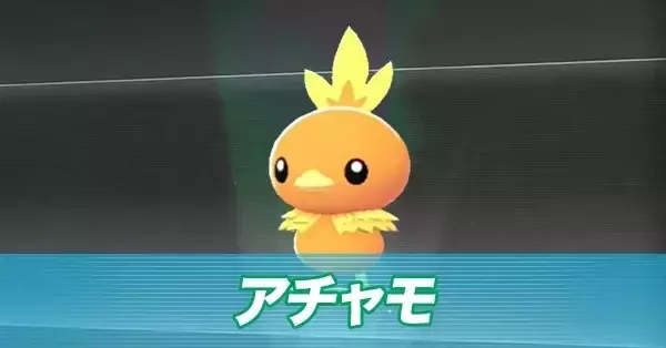 ポケモンZA】アチャモの進化とおすすめ性格・色違い【ポケモン