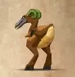 あばれ足鳥画像