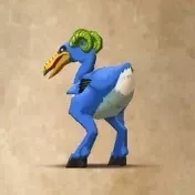 シープダック画像