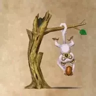 テールモンキー画像