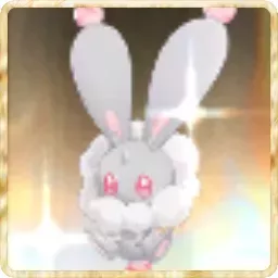 ピカピカ-ミニウサギ画像