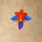 はなカワセミ画像