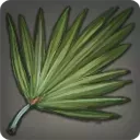 ロウヤシの葉の画像