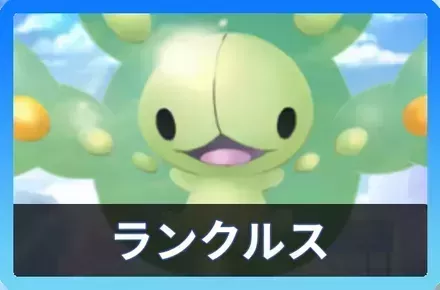 ランクルスデッキ