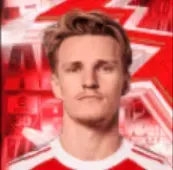 HPマルティン・ウーデゴーア(12/18)画像