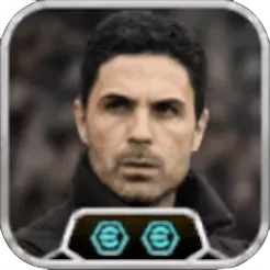 ミケルアルテタ(リンクアップ)の画像