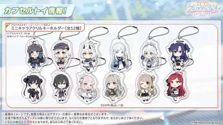 フェスグッズ情報15