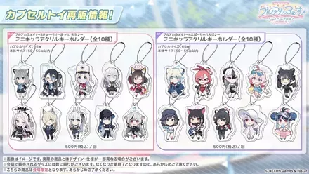 フェスグッズ情報16