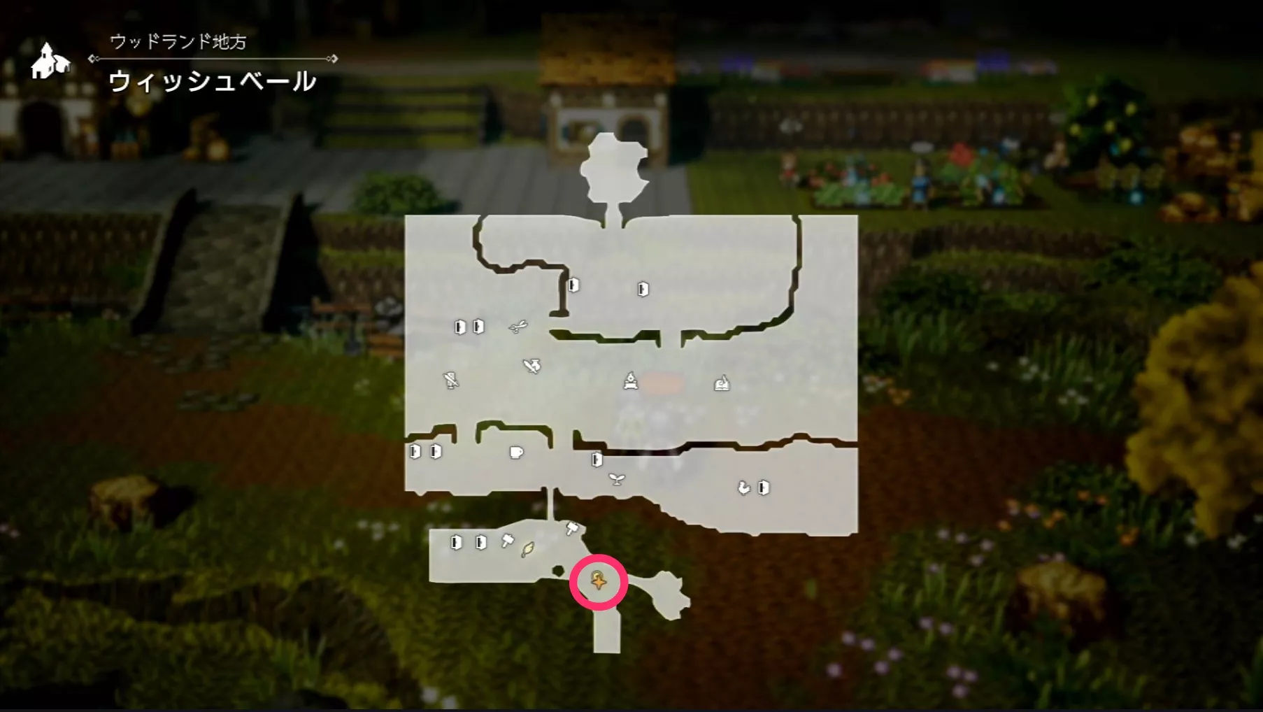 魔物闘技場のマップ