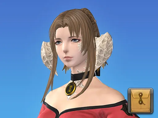 エンフォーチュンテラー正面