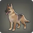 [ブレイブ・シェパード