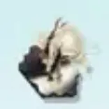 太陽を覬う者の指先画像