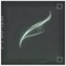 継ぎ接ぎの弦画像