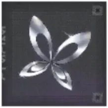 多翼の偏光体画像