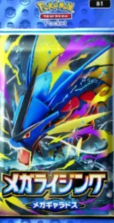 メガライジングギャラドスパック