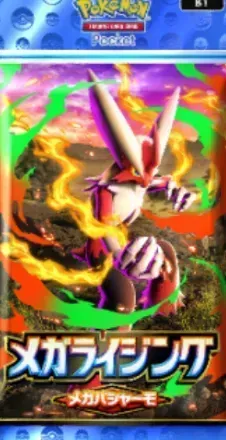 メガライジングバシャーモパック