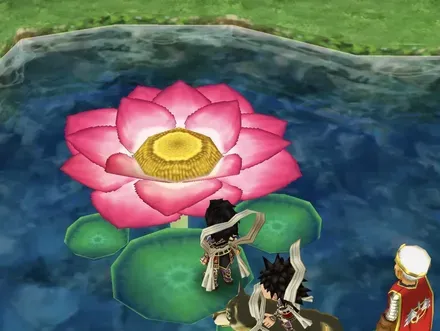 29サンゴの洞窟に入る