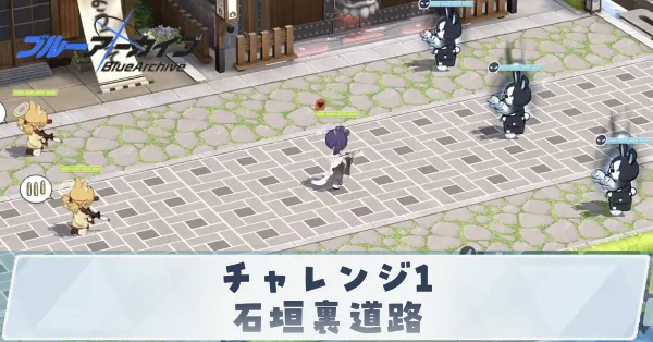 チャレンジ1石垣裏道路