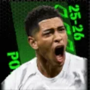 TPジュード・ベリンガム(12/25)の画像