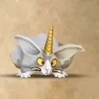 いっかくうさぎ画像